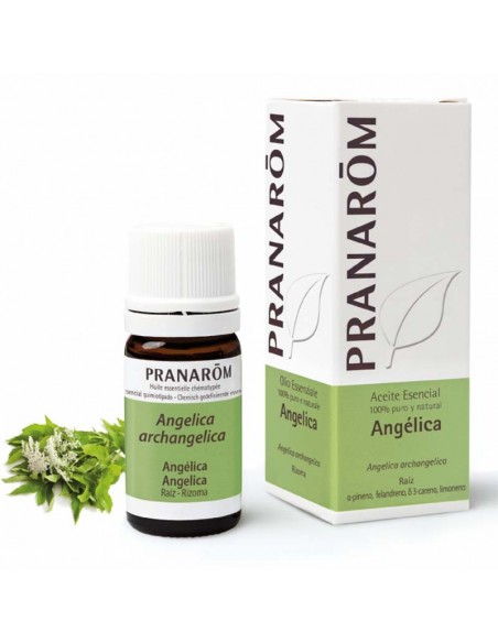 Angelica Aceite Esencial 5Ml. Pranarom