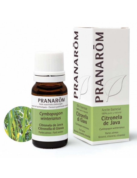 Citronela De Java Aceite Esencial 10Ml. Pranarom