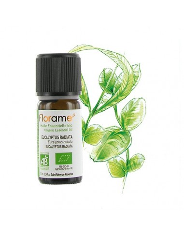 Aceite esencial Radiata Eucalyptus Florame