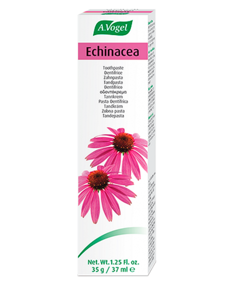 Dentaforce Echinacea Pasta 100 Gr. A.Vogel